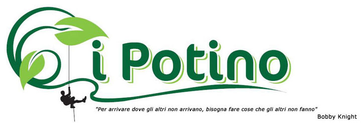 logo de I Potino